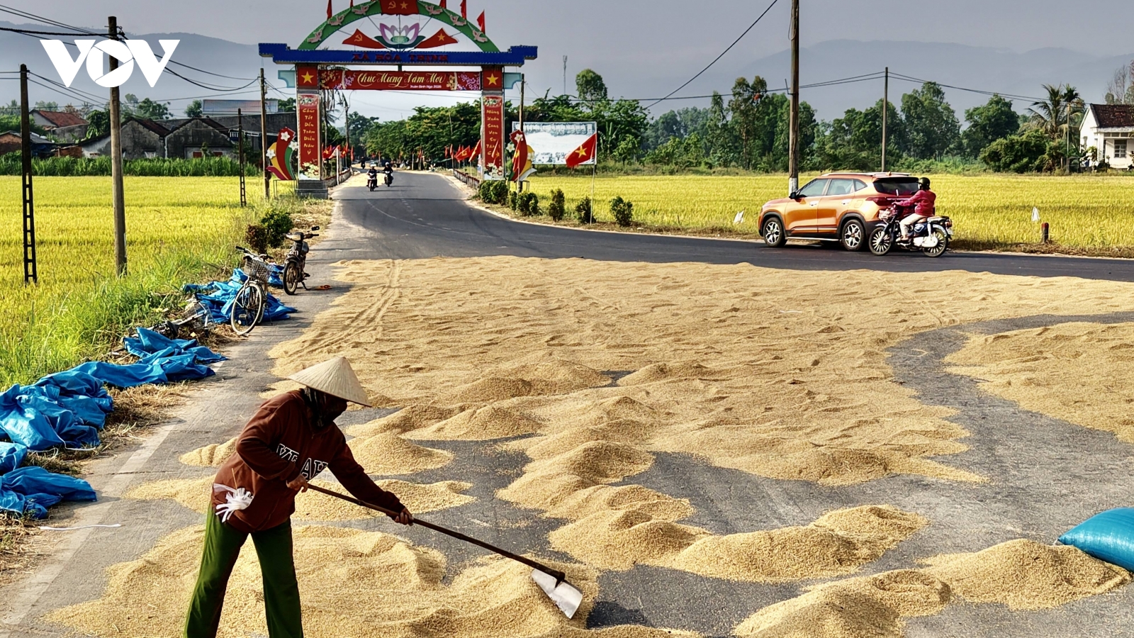 “Mùa vàng” ở vùng rốn lũ Đắk Lắk